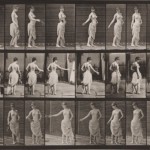 Eadweard Muybridge - Animal Locomotion, plansza 53, 1887