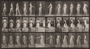 Eadweard Muybridge - Animal Locomotion, plansza 53, 1887
